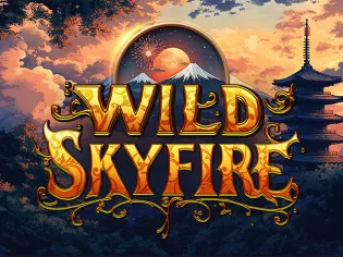 Wild Skyfire game cover